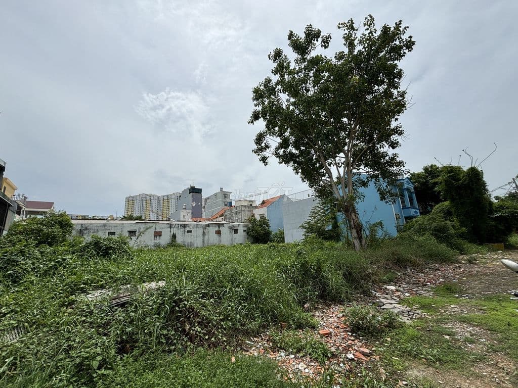 Bán 7 nền thổ cư 100m2/nền KDC 41 đường Hoàng Ngân, F. Phú Định - Ảnh 3