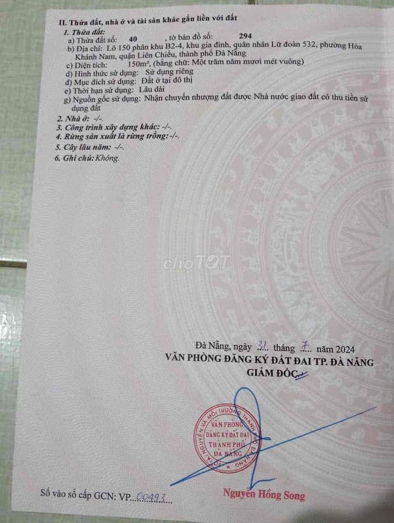 bán đất biệt thự giá bằng đất kiệt - Ảnh 3