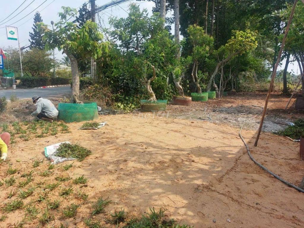 Bán nhà cũ mặt tiền QL22 Củ Chi - Ảnh 2