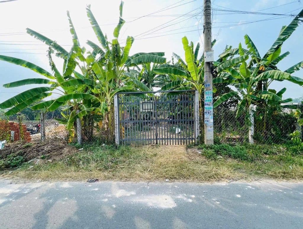 CHỦ GỬILÔ ĐẤT HƠN 409M2 NGANG 10M MT TRẦN QUANG ĐẠO, HỢP LÀM NHÀ VƯỜN