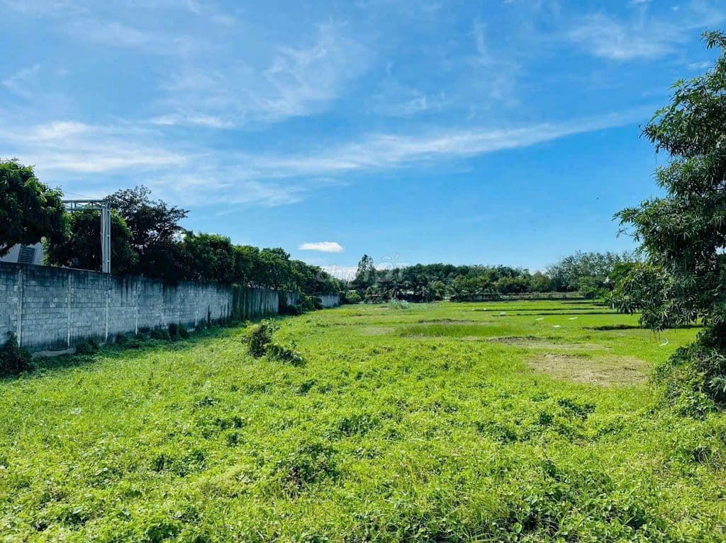 Bán gấp đất tại Đỗ Thị Sân, Phước Thạnh, Củ Chi 2000 thổ cư - Ảnh 3