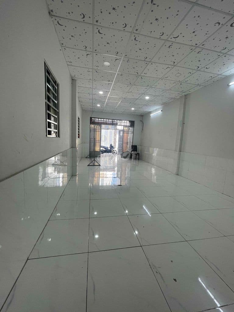 Hẻm Nhựa 5M Khu Họ Lê Tân Phú. 4x20m Cấp 4 Tiện Xây. Giá Tốt - Ảnh 2