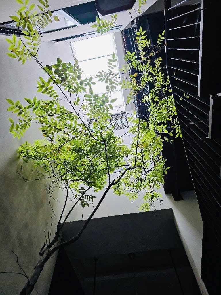 66.8 TỶ!!! 120M2 - 7M MẶT TIỀN GARA ÔTÔ - PHỐ QUẢNG KHÁNH VIEW HỒ TÂY - Ảnh 3