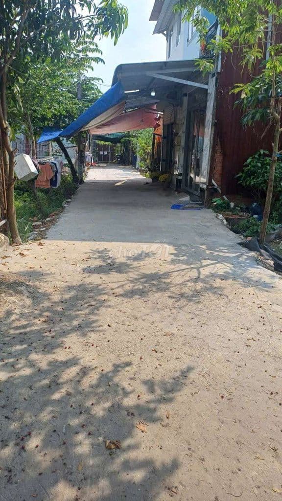 đất nền - Ảnh 3