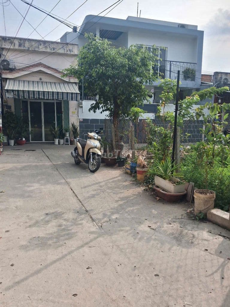 BÁN ĐẤT HẺM XE HƠI LÊ TRỌNG TẤN P TÂY THẠNH 5X14M,DTSD 71 M2,5,6 TỶ TL - Ảnh 3