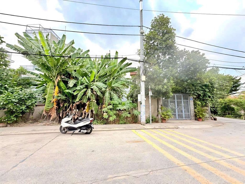 ĐẤT MT TL37 Q12 - 127M² - VIEW KÊNH - KHU BIỆT THỰ - Ảnh 2