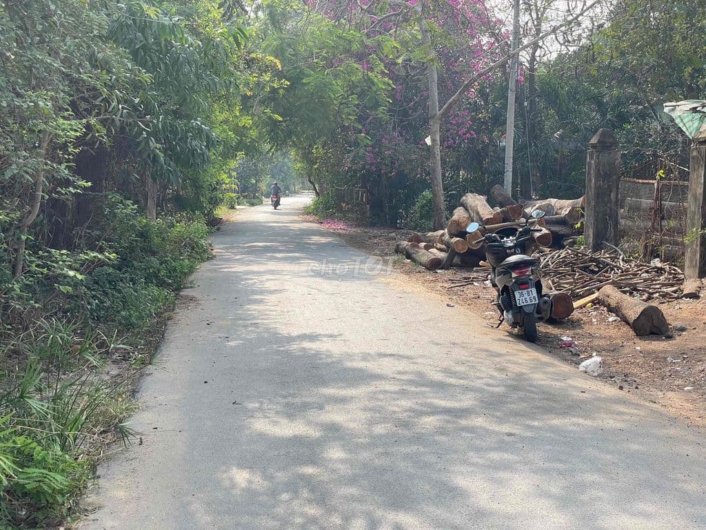 bán đất thổ cư Tân thạnh đông củ chi - Ảnh 3