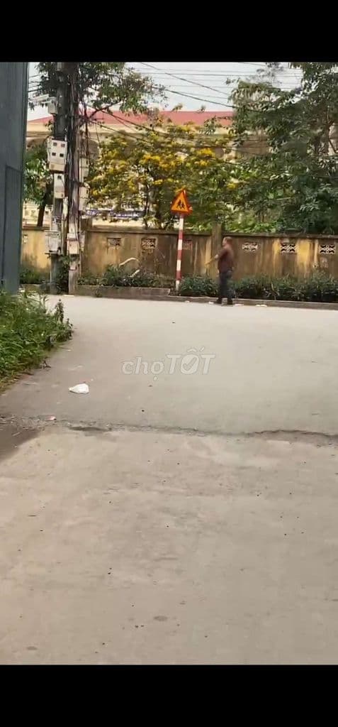 Chính Chủ Bán Đất Văn Tự - Ảnh 3