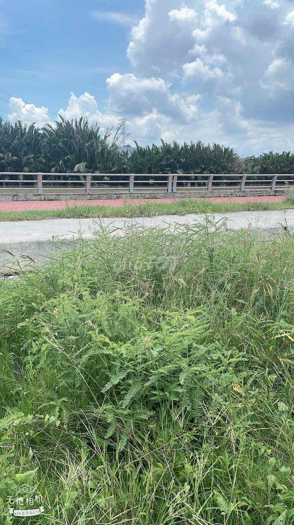 BÁN 270M2 ĐẤT BIỆT THỰ VƯỜN VIEW SÔNG THOÁNG CHỈ 7 TỶ NHỎ - Ảnh 3