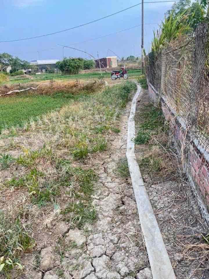 Chủ Bễ Nợ Bán 627m2 Đất Lúa Xã Tân Quý Tây - Ảnh 2