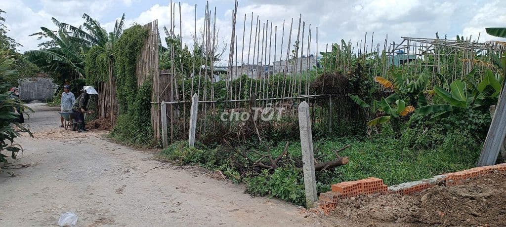 Khu Dân Cư Ấp 21, xã Bình Mỹ ô tô thông, xây ở liền. - Ảnh 2