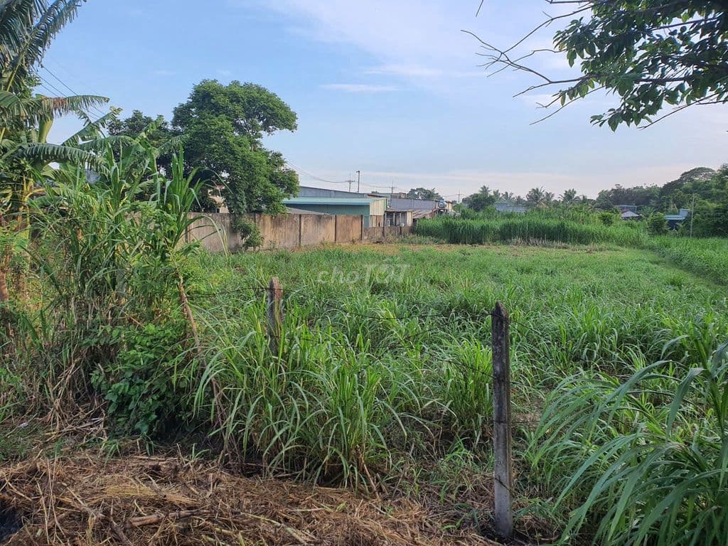 Đất nền thổ cư 1930m² tại Xã Thái Mỹ, Củ Chi, TP.HCM - Ảnh 3