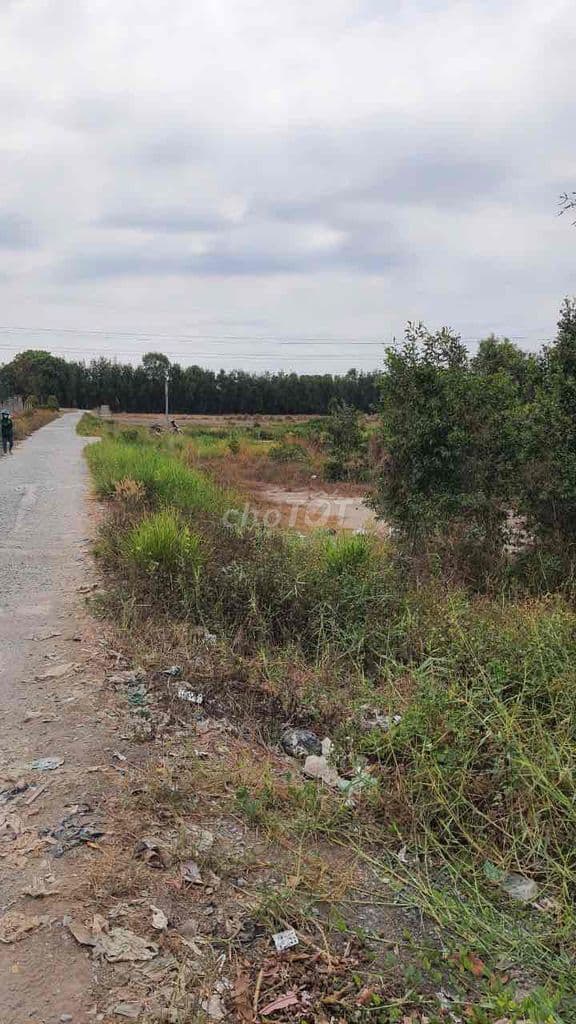 bán 2000m vườn sổ riêng mặt tiền đan xã tân nhựt - Ảnh 2