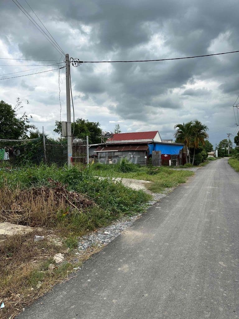 Bán đất đẹp Tân Thạnh Đông, Củ Chi – giá tốt, sổ riêng, đầu tư sinh lờ - Ảnh 3