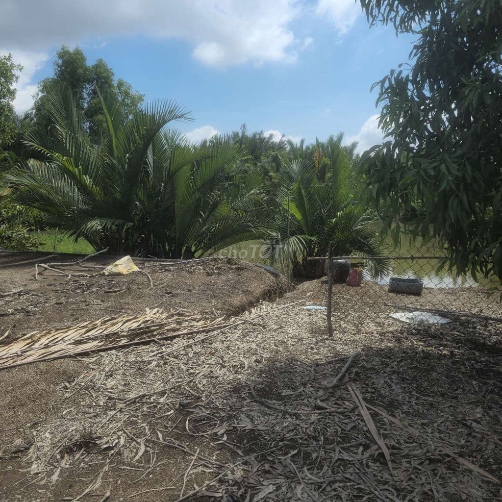 Đất Mặt Tiền Cần Giờ - Cơ Hội Vàng Đầu Trữ - Đón Đầu Sóng Hạ Tầng 2026