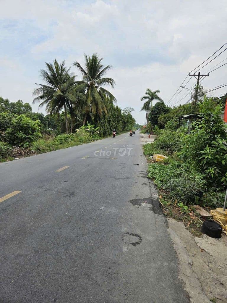 🔥 ĐẤT MẶT TIỀN ĐƯỜNG THANH NIÊN – TÂN VĨNH LỘC, TP.HCM