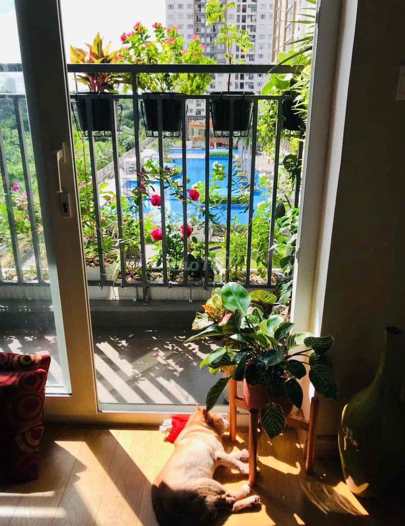 🔥 BÁN GẤP CĂN HỘ THE PARK RESIDENCE – 2PN 1WC – 62m² 🔥