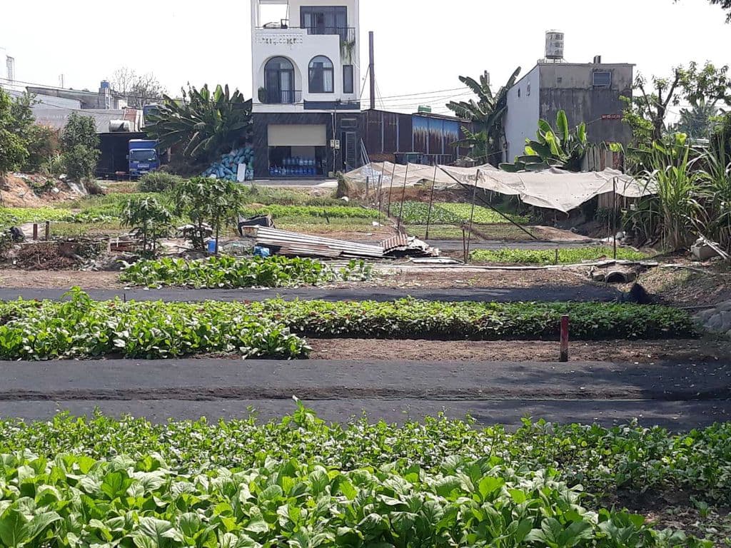 557 m2 - Mặt Tiền Đường Xe Công ( Container) - Gần Ngay Lê Văn Khương