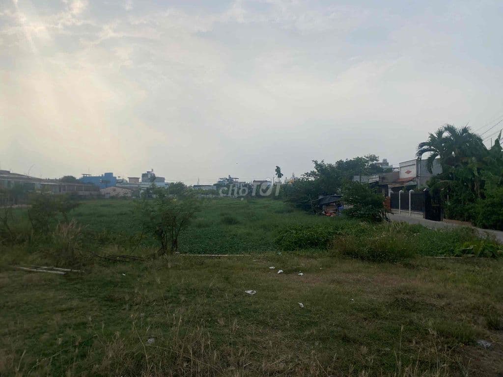 Chính Chủ Bán 1001m2 đất nông nghiệp 2 mặt tiền Bà Điểm. Giá siêu rẻ - Ảnh 2