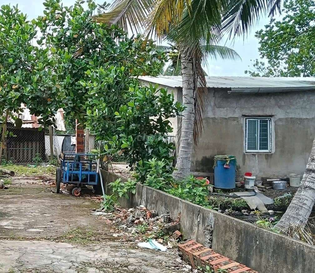 bán nhà vườn 10000m2 MT kênh đường vườn Thơm xã Bình Lợi HBC