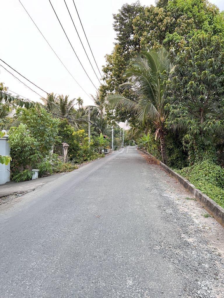 600m Đất Thổ cư , MT đường Nhựa 8m , Nhị Bình , Hóc Môn - Ảnh 2