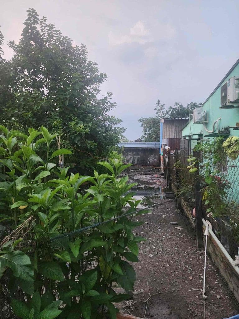 BÁN GẤP ĐẤT THỔ CƯ HÒA PHÚ - CỦ CHI – 133M2 – SỔ RIÊNG – GIÁ CỰC RẺ 2 - Ảnh 2