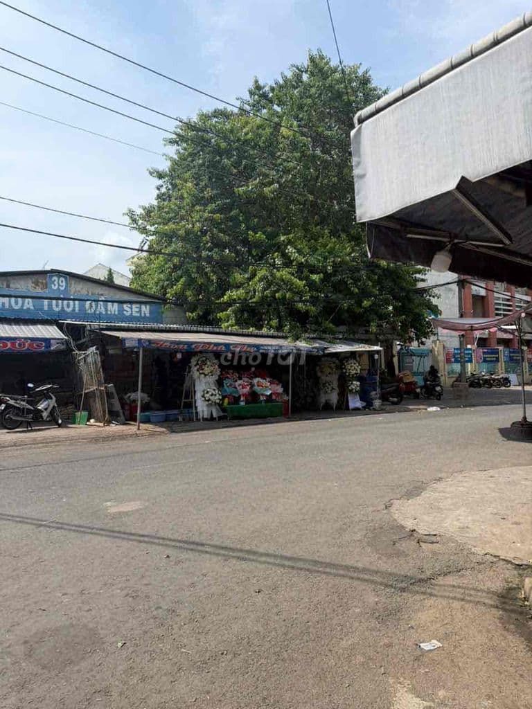 Shophouse khu chợ hoa Đầm Sen - Ảnh 3