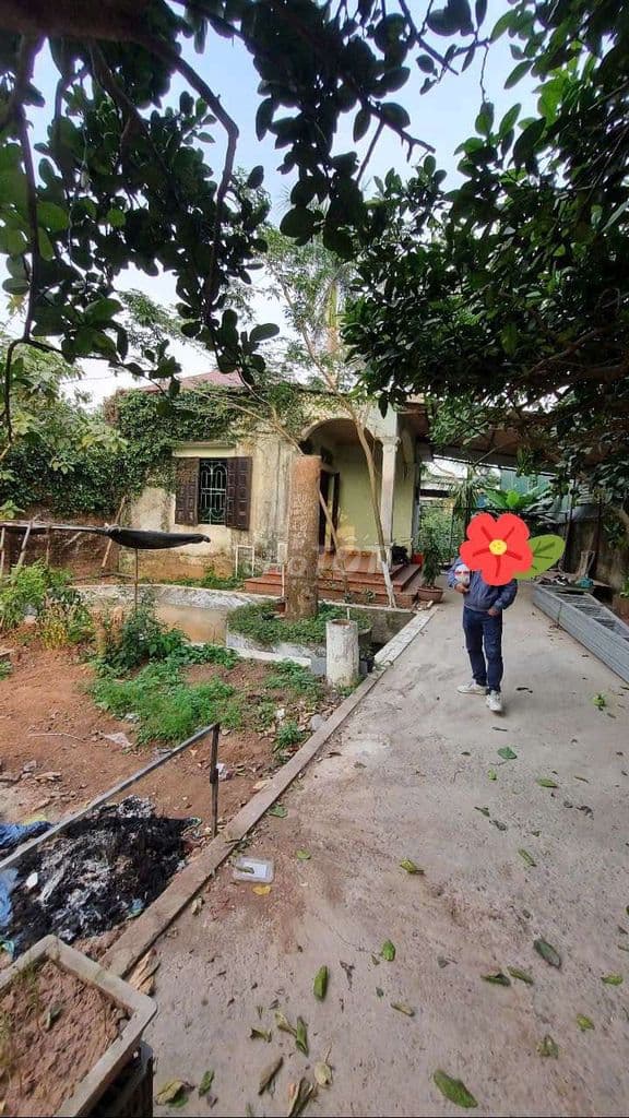Nhà vườn Vân Côn Hoài Đức cần bán - Ảnh 3