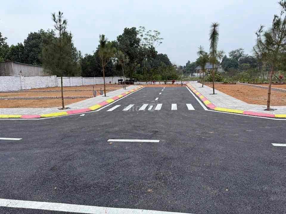 đất nền Phú Cát Hoà Lạc Chính Chủ - Ảnh 2