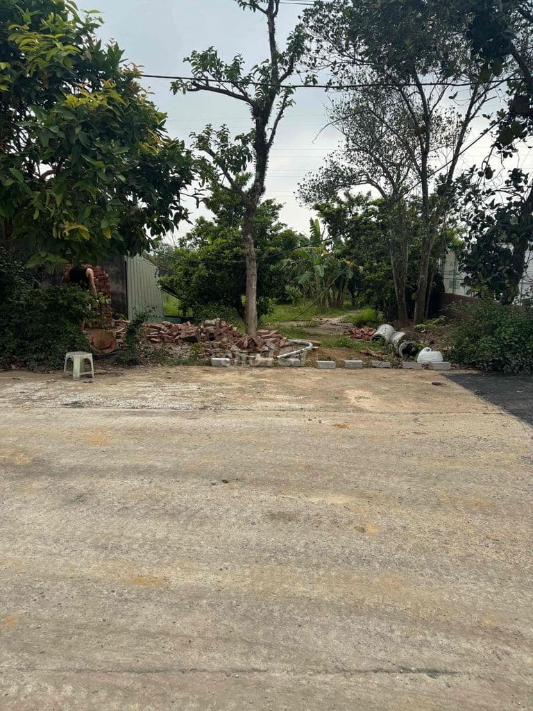 ĐẤT CHÍNH CHỦ GIÁ 2 TỶ 100m FULL THỔ Ô TÔ TRÁNH - Ảnh 3
