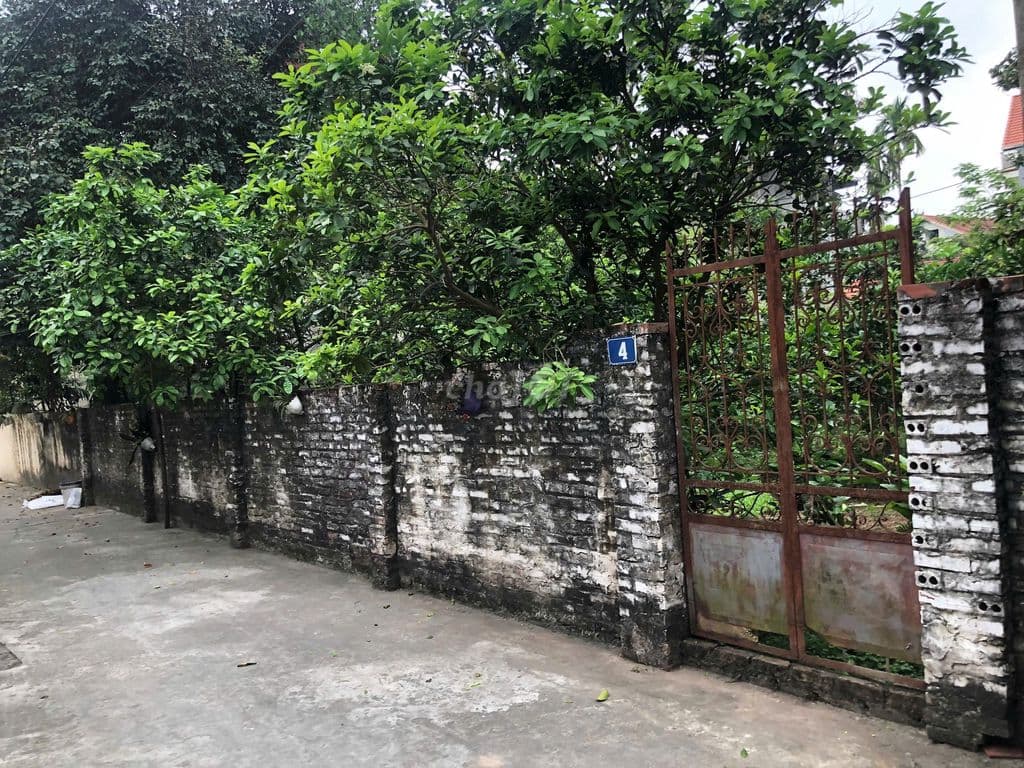 ĐẤT ĐẸP GIÁ TỐT - Ảnh 3