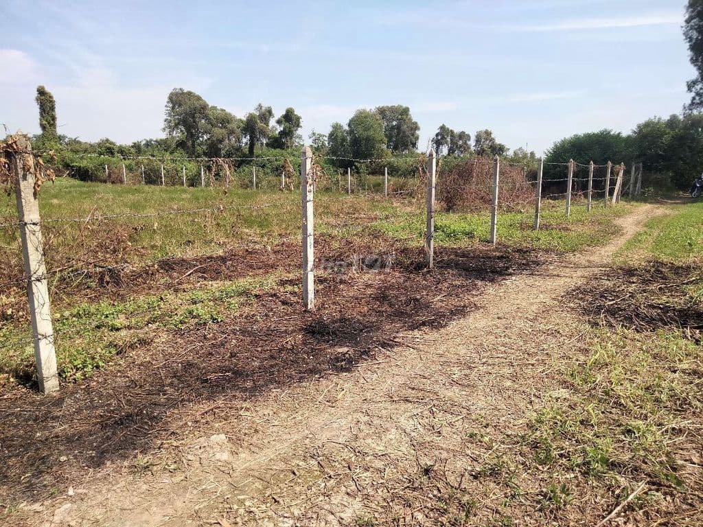 BÁN ĐẤT VƯỜN 3600M2 QUY HOẠCH KHU DÂN CƯ XÃ BÌNH MỸ - Ảnh 3