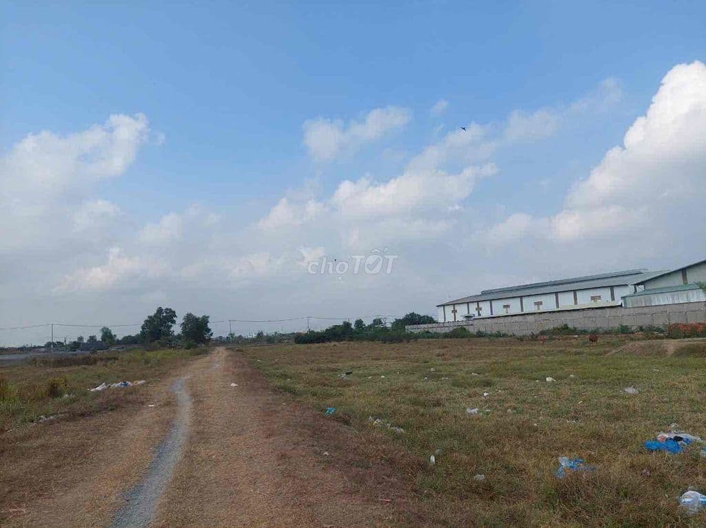 bán đất tân Vĩnh Lộc - Ảnh 2