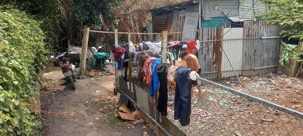 Minh can ban mieng dat nen - Ảnh 2