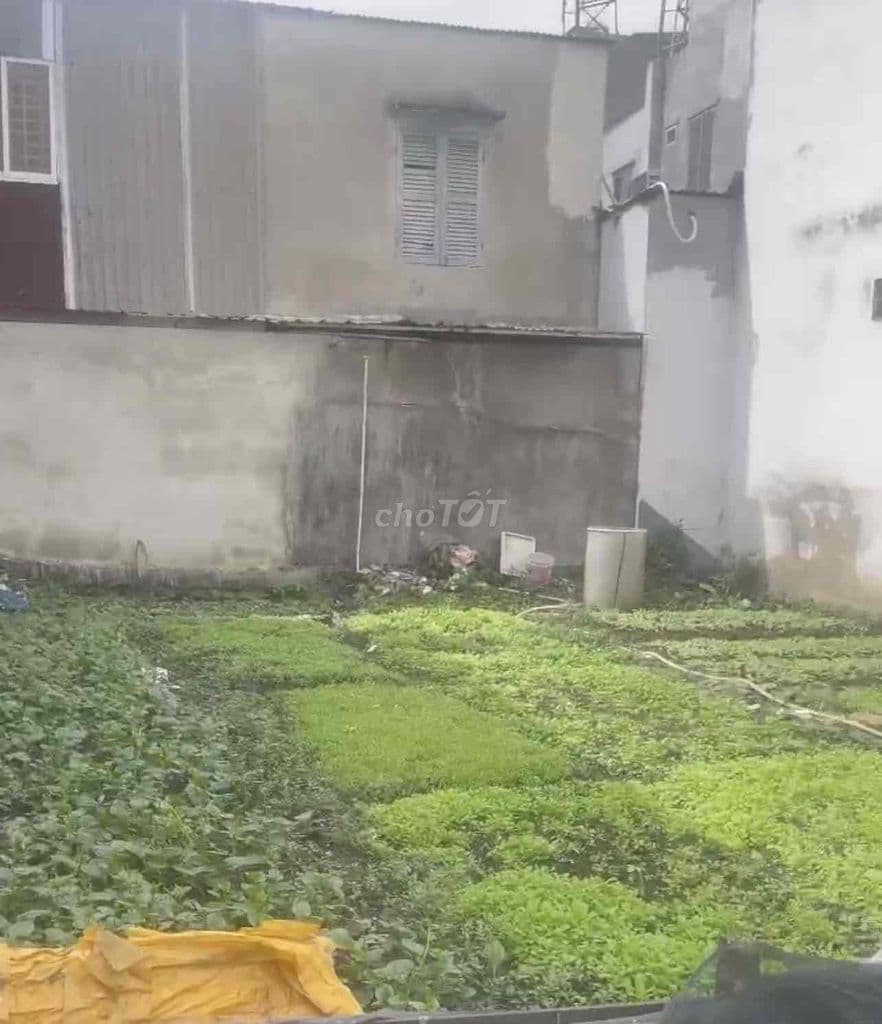 Cần bán đất quận 12 - Ảnh 3