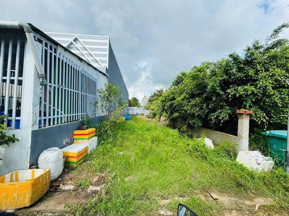 Ra gấp lô đất Huỳnh Văn Cọ đi vào, thuộc TT Củ Chi. 700tr, Sang sổ - Ảnh 3