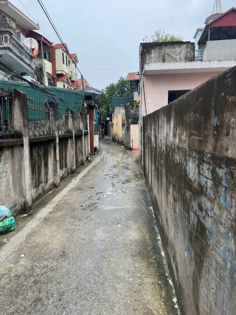 Chính chủ Bán Đất Đan Nhiễm, Khánh Hà, Thường tín - 49.2m2