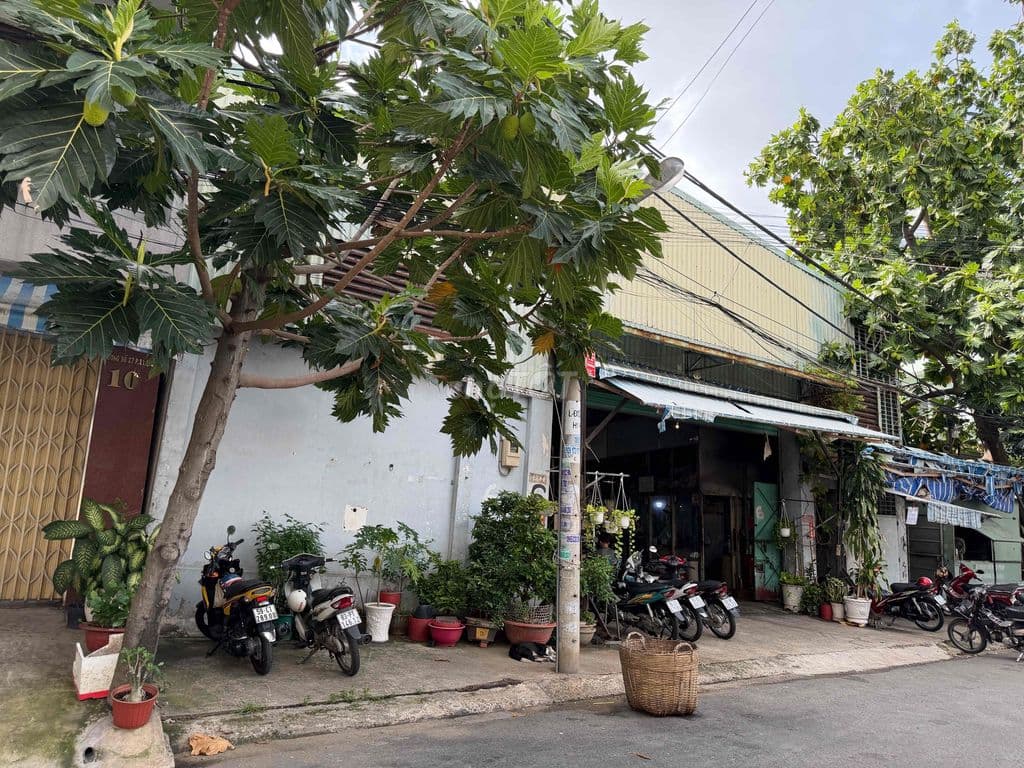 Bán Đất khu Bình Phú Quận 6 -ngang 16m dài 18m - Ảnh 2