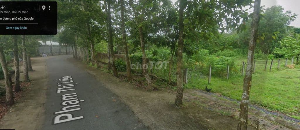Đất nền full thổ 1311m2 Thái Mỹ (Củ Chi), Tp.HCM - Ảnh 2