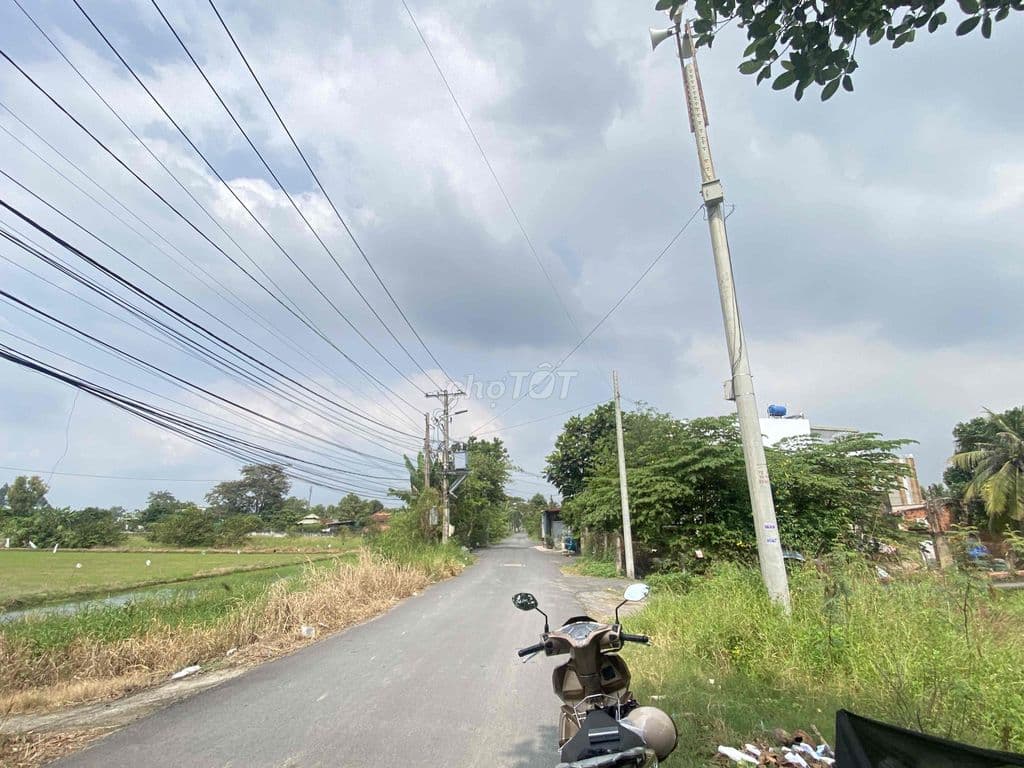 Cần bán đất 3436 đối diện BV PHẠM Ngọc Thạch Bình Chánh - Ảnh 2