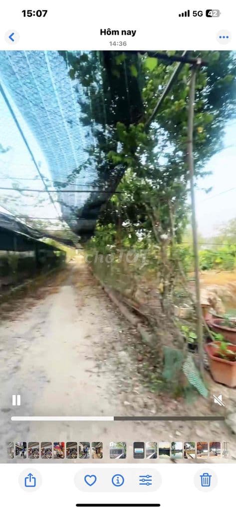 bán gần 5000m2 Quận 9 Thích hợp làm Kho bãi, Gần Cản Q9, Q2