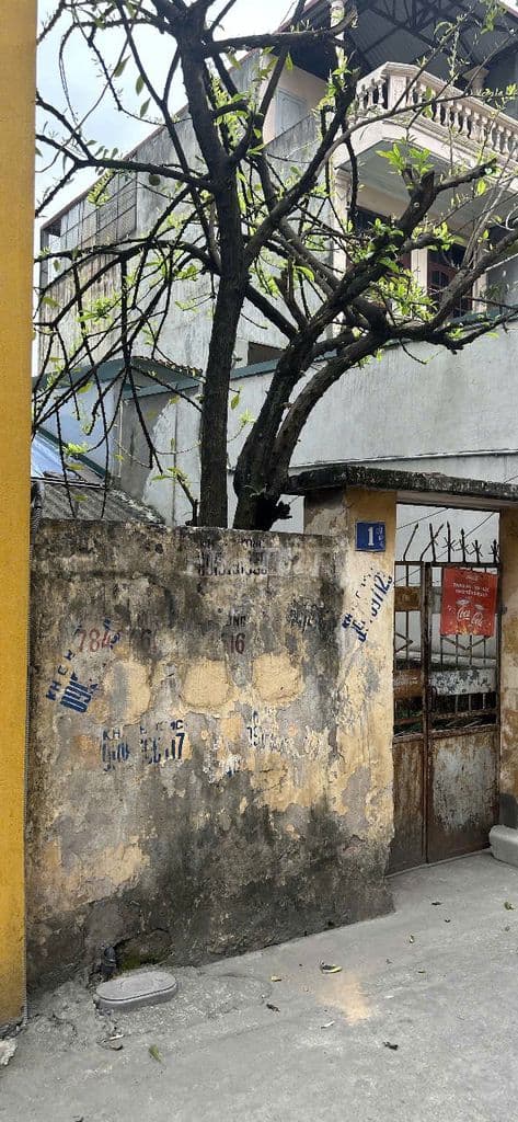 CHÍNH CHỦ BÁN ĐẤT VỊ TRÍ ĐẸP GẦN CẦU ĐÔNG TRÙ, GẦN VIN CỔ LOA - Ảnh 3