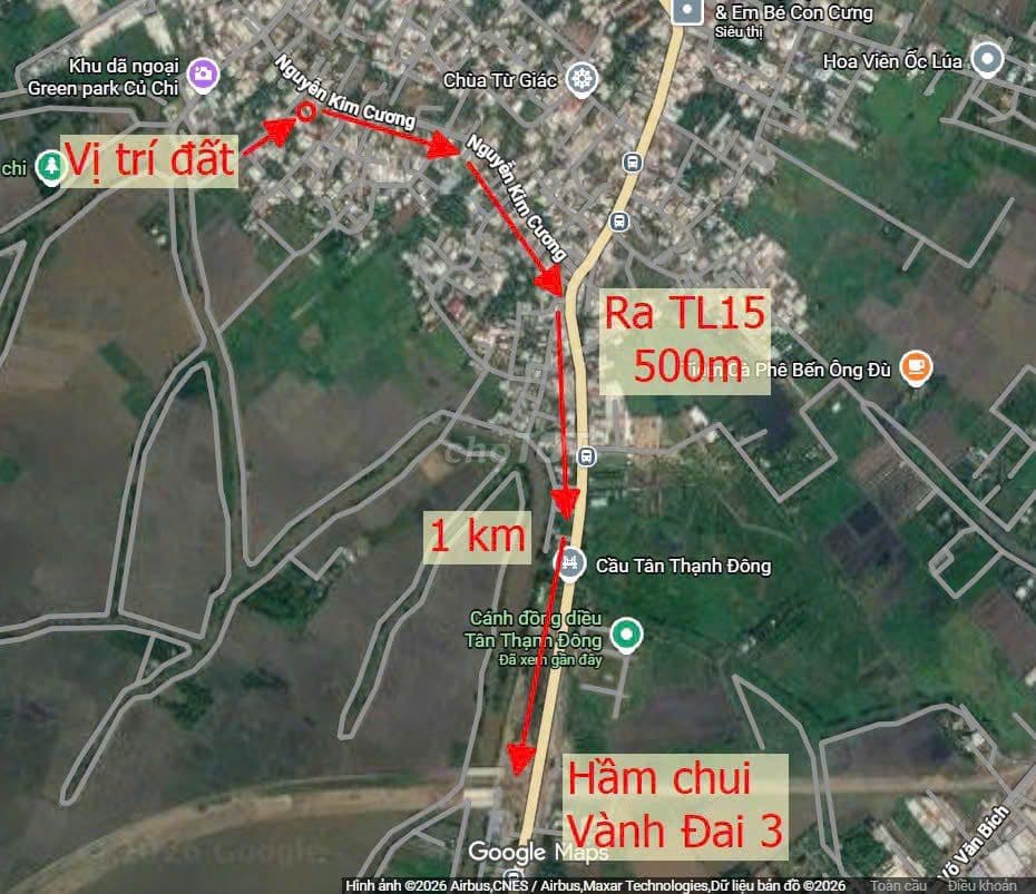 ĐẤT THỔ CƯ ĐƯỜNG 130 TÂN THẠNH ĐÔNG DT 6.2 X 30M, ĐƯỜNG 7M - Ảnh 3