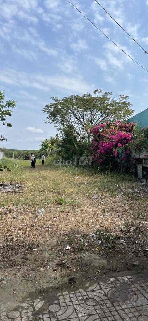 Bán Đất Lớn 30.304m2 đường Giồng Ao TT Cần Thạnh, Cần Giờ