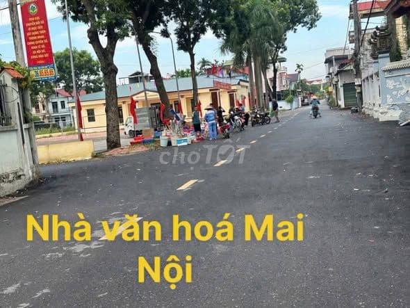 Bán Đất Mai Nội Đông Anh, Full Thổ Cư, Gần Sân Bay, Tiện Ích - Ảnh 3