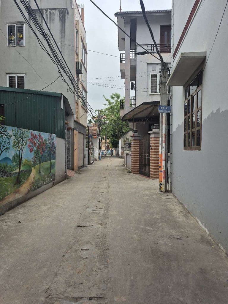 Chính chủ bán đất Hậu Ái Sơn Đồng Hà Nội - Ảnh 2