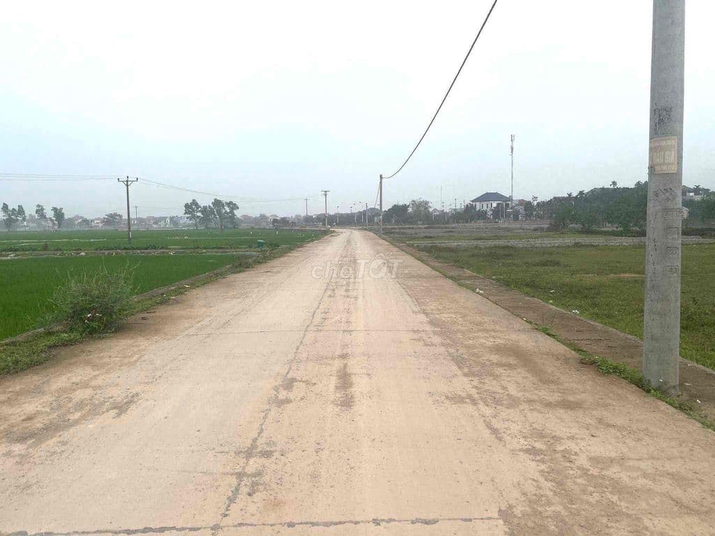 bán đất đấu giá - - Ảnh 3