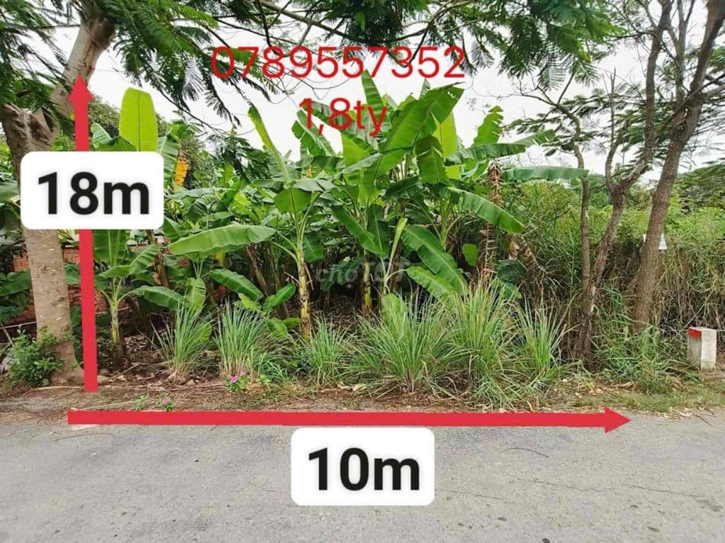 đất ngợp quy Đức - Ảnh 2