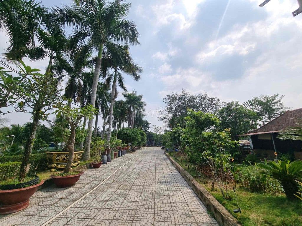 KHU NGHỈ DƯỠNG SINH THÁI GIÁ BÁN KHÔNG BẰNG 1/2 CHI PHÍ XÂY DỰNG - Ảnh 2