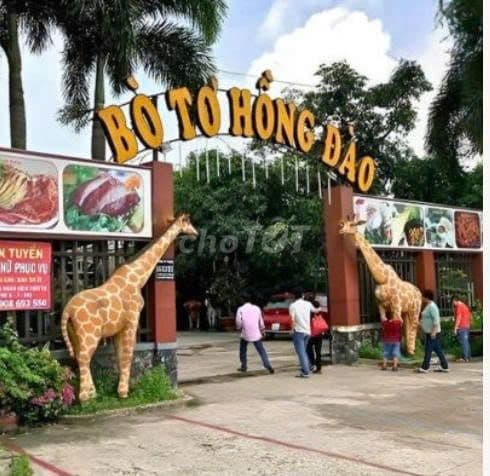 Đất 140m2/1 tỷ .Cách QL22 khoảng 300m, Đ.Nguyễn Thị Se, Tân Thông Hội. - Ảnh 3